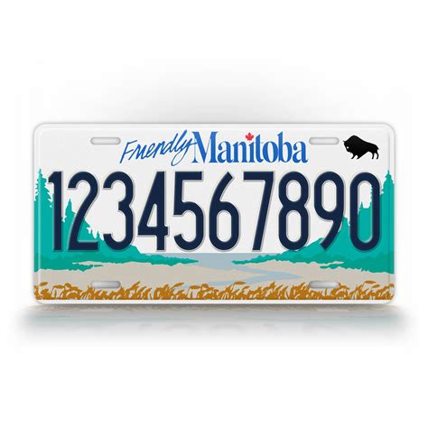 Our vehicle history reports can provide you key details like accident history, safety recalls, maintenance records, odometer. . License plate search manitoba